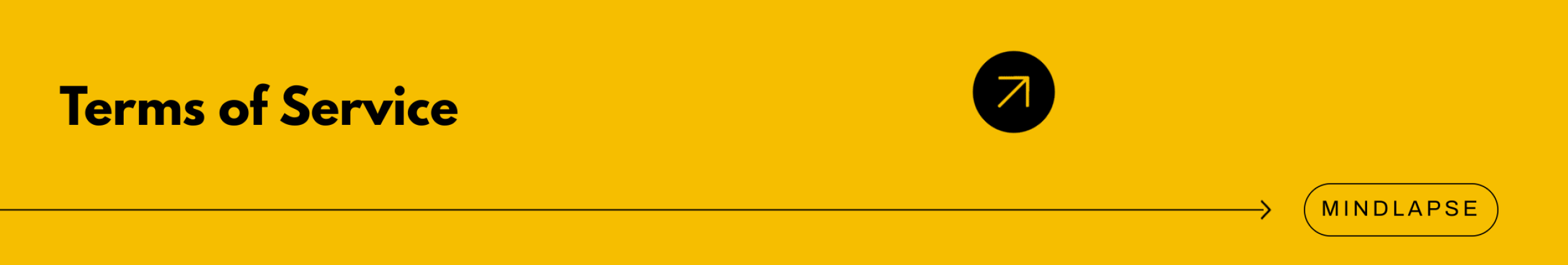 Mindlapse - The visibility CISOs need. The confidence boards expect.