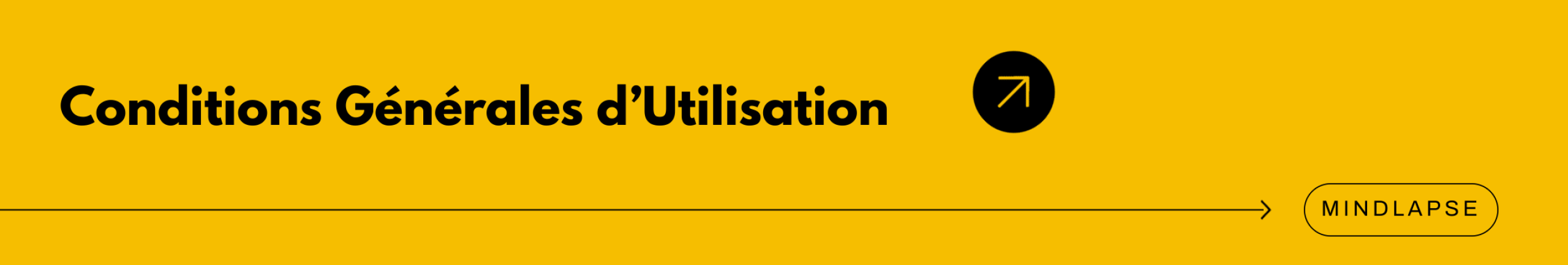 Mindlapse - La visibilité qu’attendent les RSSI. La confiance qu’exigent les conseils d’administration.
